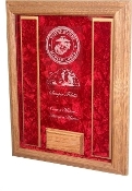 Etched Soldier Case - Awards Display Case